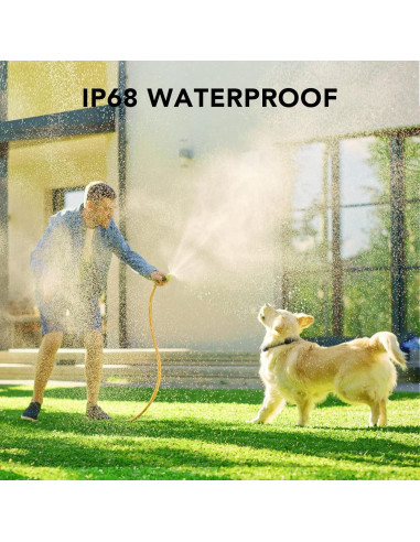 Collar de Entrenamiento Dog Care TC01 para 1 Perro - Control Remoto 549m