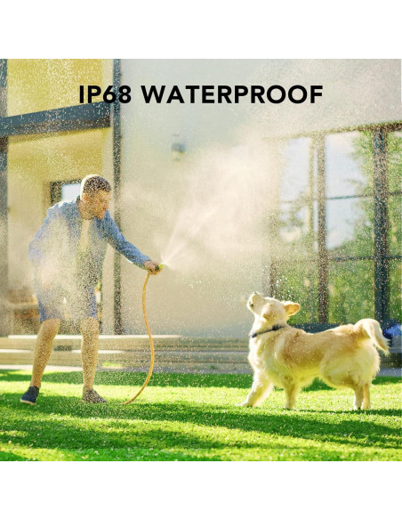 Collar de Entrenamiento Dog Care TC01 para 1 Perro - Control Remoto 549m