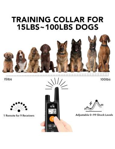 Collar de Entrenamiento Dog Care TC01 para 1 Perro - Control Remoto 549m