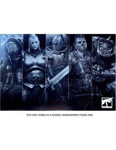 Figurita Warhammer Señor Oscuro Elfo en Dragón Negro 300g 2