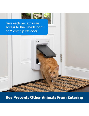 Llave para Mascotas PetSafe SmartDoor Pequeña ZAC19-17240