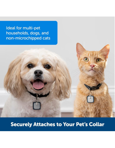 Llave para Mascotas PetSafe SmartDoor Pequeña ZAC19-17240