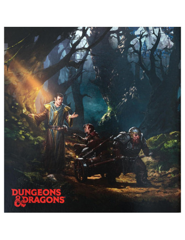 Dungeons and Dragons Kit de Inicio D&D 6 Dados y Miniaturas