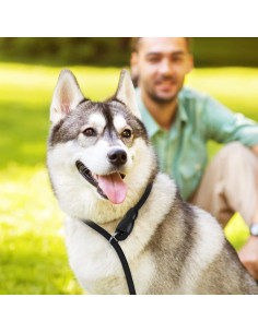 Collar de Entrenamiento para Perros TIESOME Nylon Negro S 2