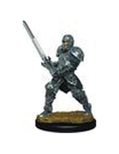 Figuras D&D WizKids Guerrero Humano 29.5x29.5x8.5cm