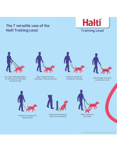 Correa de Entrenamiento Halti - Multifuncional Grande Negra 2