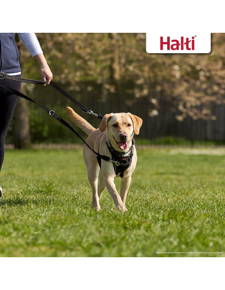 Correa de Entrenamiento Halti - Multifuncional Grande Negra
