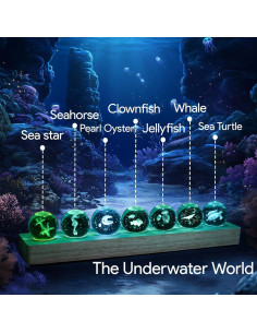 Juego de 7 Lámparas Marinas LED NoelWink 3D Decoración 2