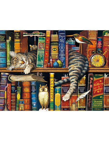 Rompecabezas 1000 Piezas Buffalo Games Frederick El Literato Rompecabezas 1000 Piezas Buffalo Games Frederick El Literato