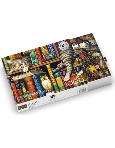 Rompecabezas 1000 Piezas Buffalo Games Frederick El Literato