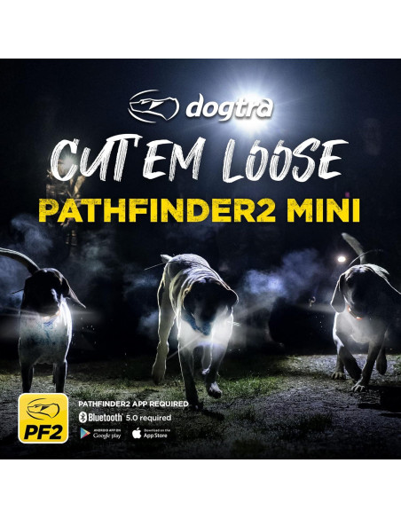 Collar de Entrenamiento Dogtra Pathfinder 2 Mini GPS 6,44 km