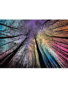 Rompecabezas 1000 Piezas BBOLDIN Bosque Mágico Adultos 2