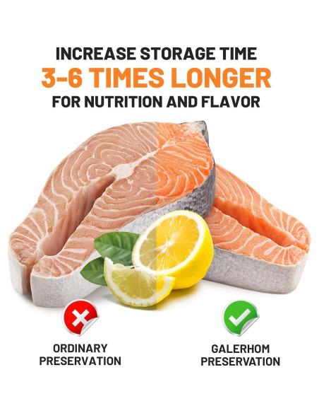 Bolsas de Sellado al Vacío Sin BPA 20x30 cm 200 Unidades