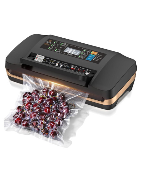 Máquina de Sellado al Vacío QIQIAOB SV608 130W Automática