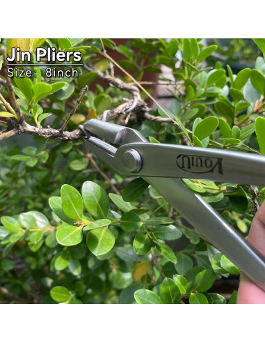 Juego de herramientas de bonsái Vouiu 6 piezas con bolsa