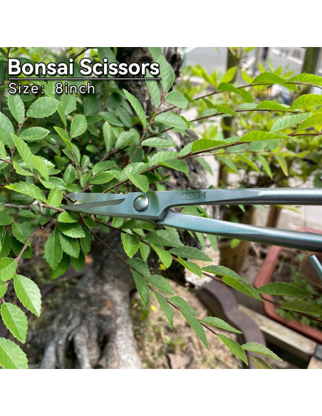 Juego de herramientas de bonsái Vouiu 6 piezas con bolsa