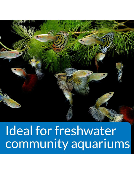 API PROPER pH 7.0 Estabilizador de pH para Acuarios 250 ml