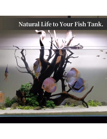 Madera Flotante Natural Majoywoo para Acuarios 3 Pcs 15-25 cm