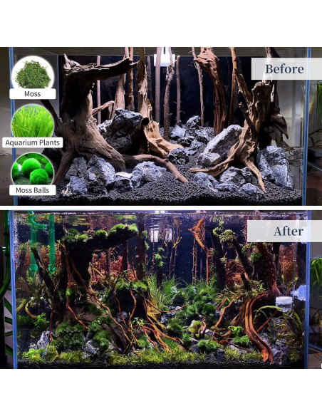 Madera Flotante Natural Majoywoo para Acuarios 3 Pcs 15-25 cm