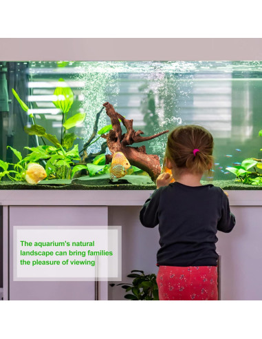 Madera Flotante Natural Majoywoo para Acuarios 3 Pcs 15-25 cm