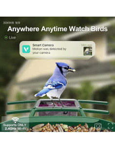 Comedero para Aves Onlyfly con Cámara 2K y Solar 2