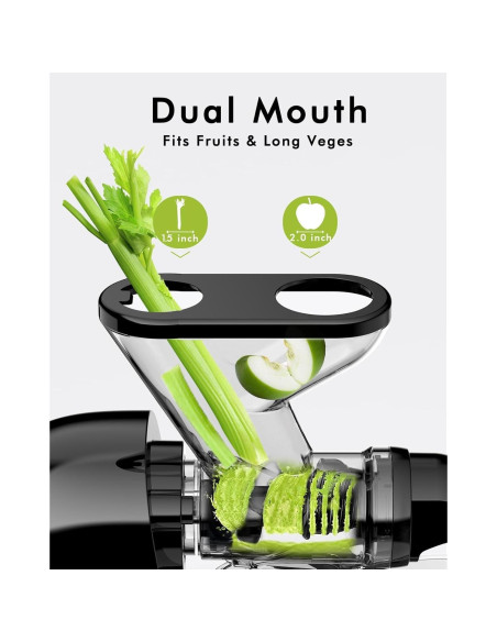 Exprimidor Lento SIFENE JS3304 280ml Negro Sin BPA