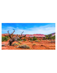 Fondo para Acuario 180x45 cm AWERT Poliester Azul Naranja