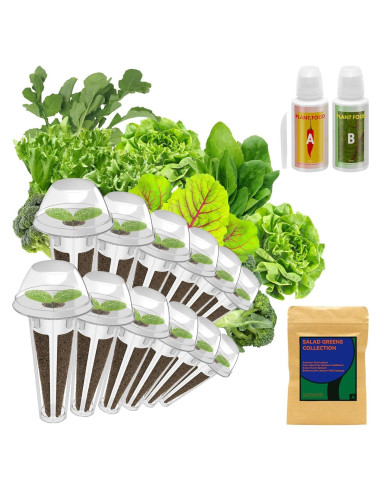 Kit Hidropónico inbloom 12 Válvulas + 350 Semillas Orgánicas