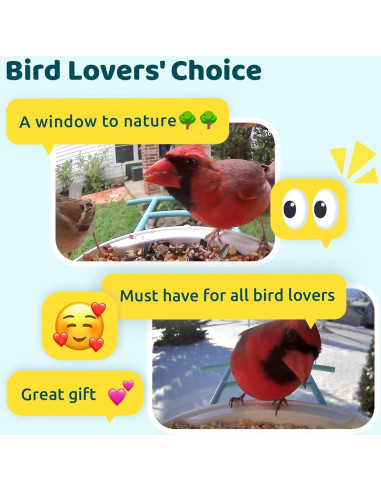 Alimentador de Aves Inteligente NETVUE Birdfy AI Solar 1.5L