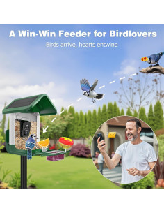 Comedero para Aves VIUBIRD con Cámara Solar 2K AI 2