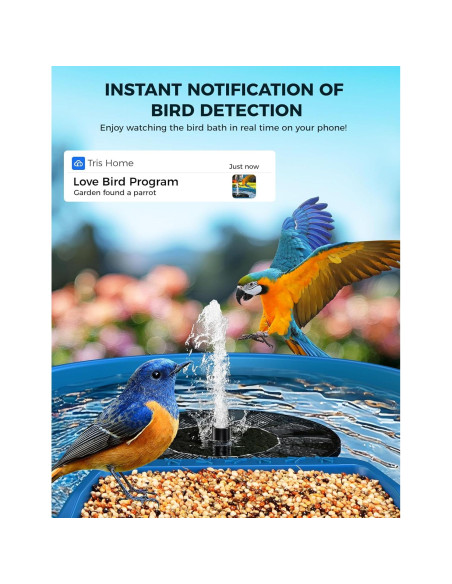 Comedero Inteligente EAST OAK para Aves 2-en-1 con Cámara 2K