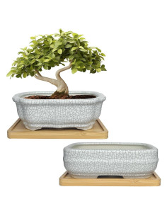 Maceta de Cerámica Craquelada Blanca MUZHI 14.7x10.7cm con Bandeja