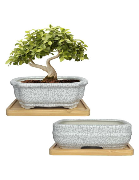 Maceta de Cerámica Craquelada Blanca MUZHI 14.7x10.7cm con Bandeja