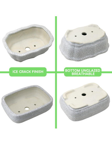 Maceta de Cerámica Craquelada Blanca MUZHI 14.7x10.7cm con Bandeja