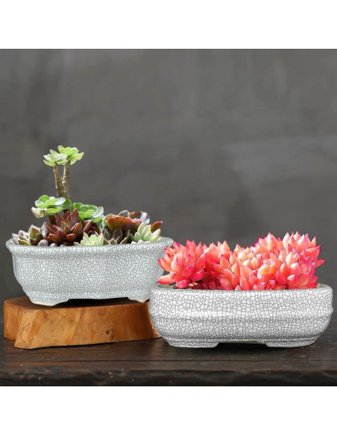 Maceta de Cerámica Craquelada Blanca MUZHI 14.7x10.7cm con Bandeja