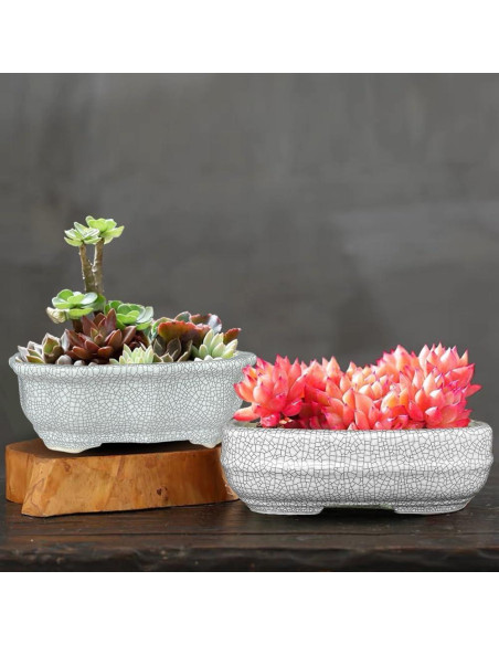 Maceta de Cerámica Craquelada Blanca MUZHI 14.7x10.7cm con Bandeja