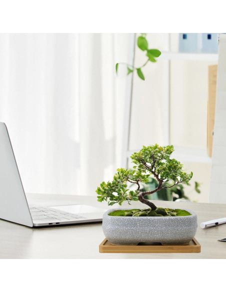 Maceta de Cerámica Craquelada Blanca MUZHI 14.7x10.7cm con Bandeja