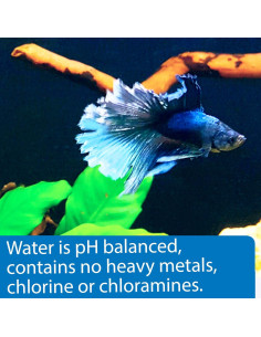 API Betta Water 1.89L Agua Precondicionada para Peces 2