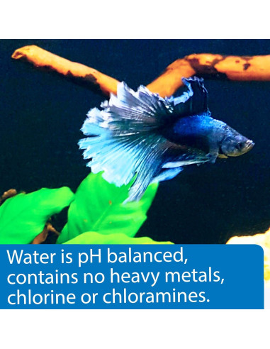 API Betta Water 1.89L Agua Precondicionada para Peces