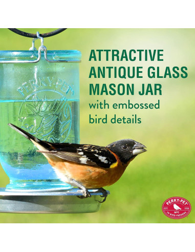 Dispensador de Agua para Aves Silvestres Perky-Pet 783 Azul