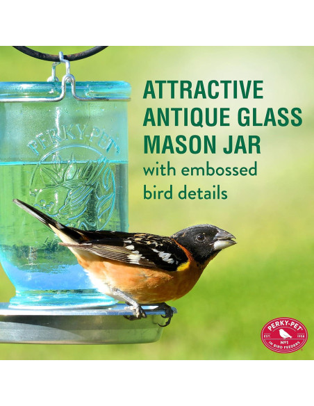 Dispensador de Agua para Aves Silvestres Perky-Pet 783 Azul