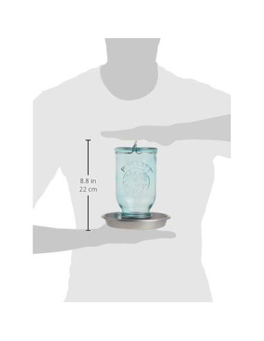 Dispensador de Agua para Aves Silvestres Perky-Pet 783 Azul