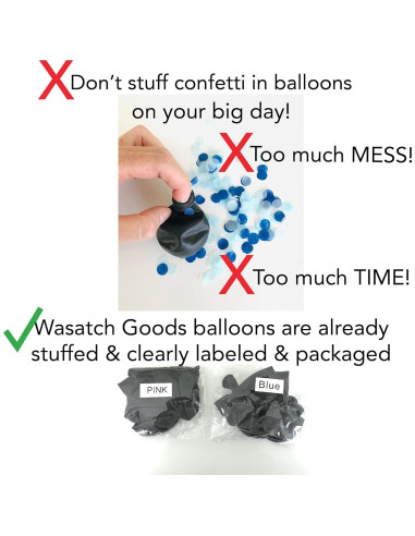 Juego de Revelación de Género Rool con Dardos y Globos