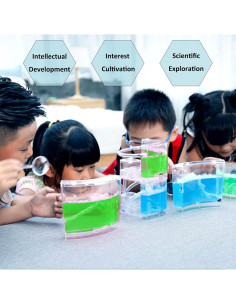 Terrario de hormigas ExBePe 20cm doble capa educativo 2