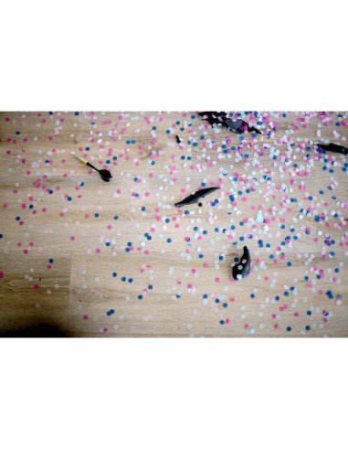 Juego de Revelación de Género Rool con Dardos y Globos