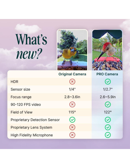 Comedero de Aves Inteligente Bird Buddy Pro - Cámara 2K