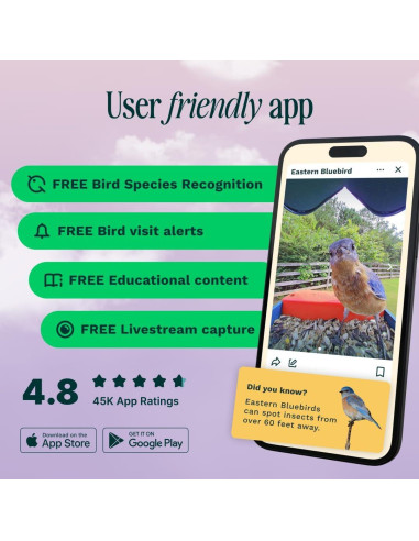 Comedero de Aves Inteligente Bird Buddy Pro - Cámara 2K