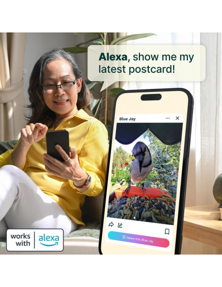 Comedero de Aves Inteligente Bird Buddy Pro - Cámara 2K