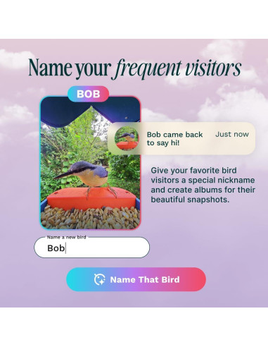 Comedero de Aves Inteligente Bird Buddy Pro - Cámara 2K