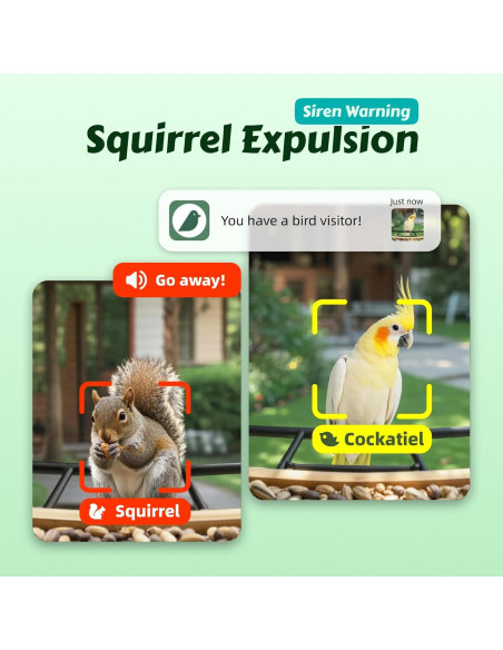 Comedero de Aves Inteligente ABRCT con Cámara Solar 2L